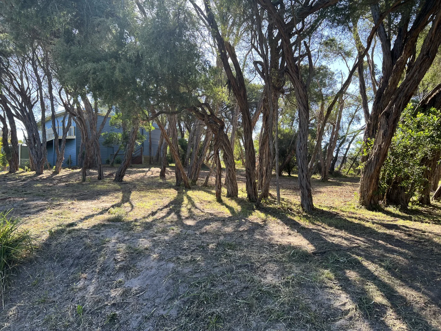 Image 4