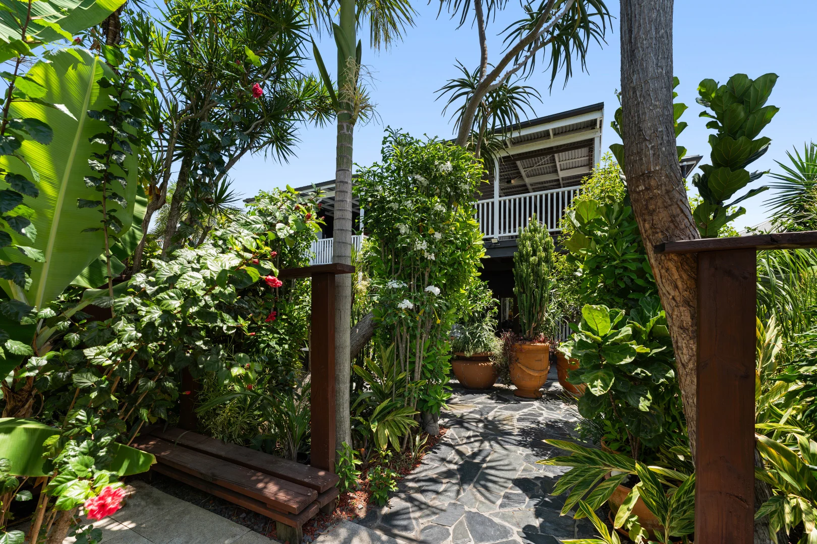 Additional image 15 of 84 Cavendish Road, Coorparoo QLD 4151