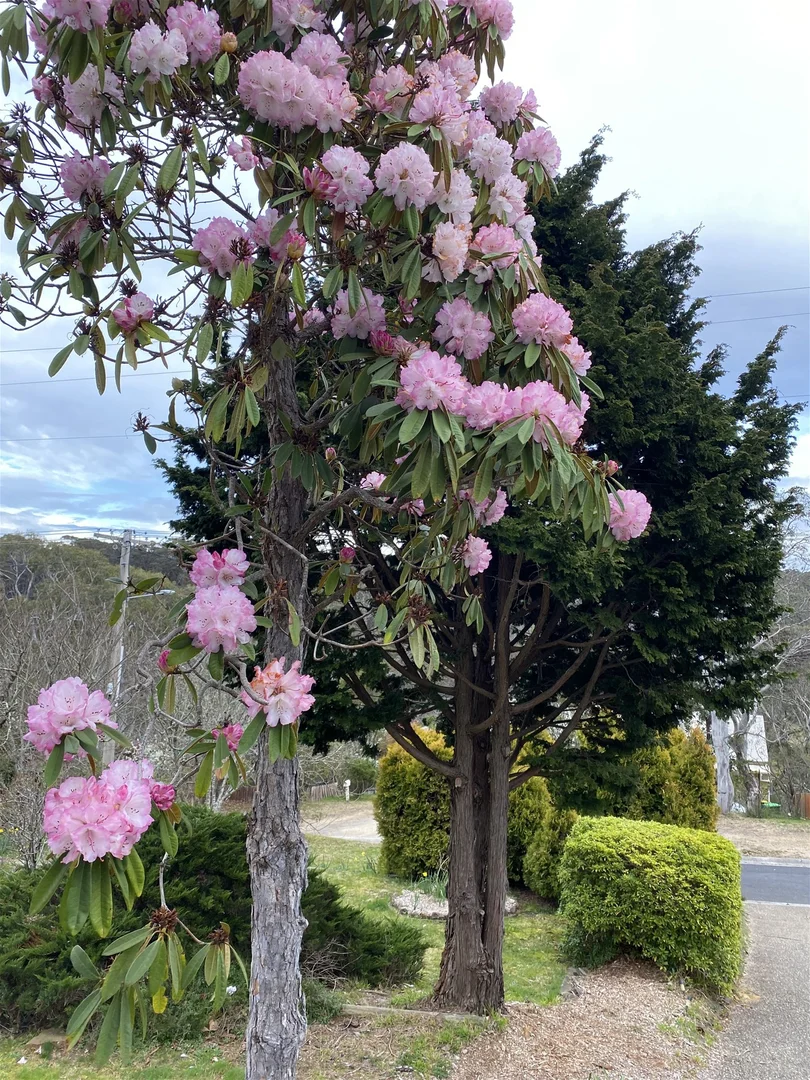 Additional image 12 of Katoomba NSW 2780