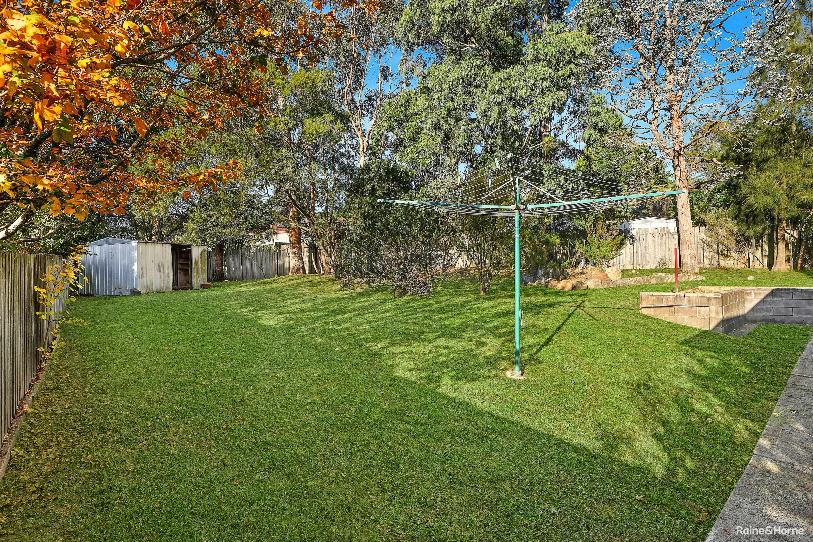 Image 12