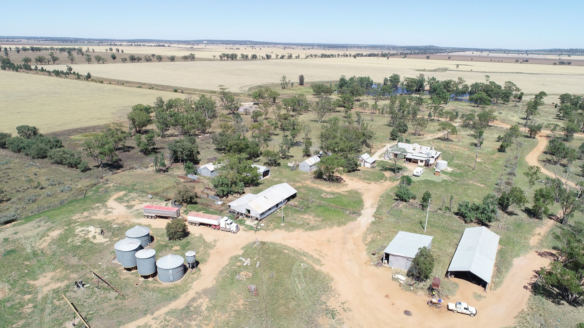 548 Cunningtons Lane, West Wyalong NSW 2671, Image 2