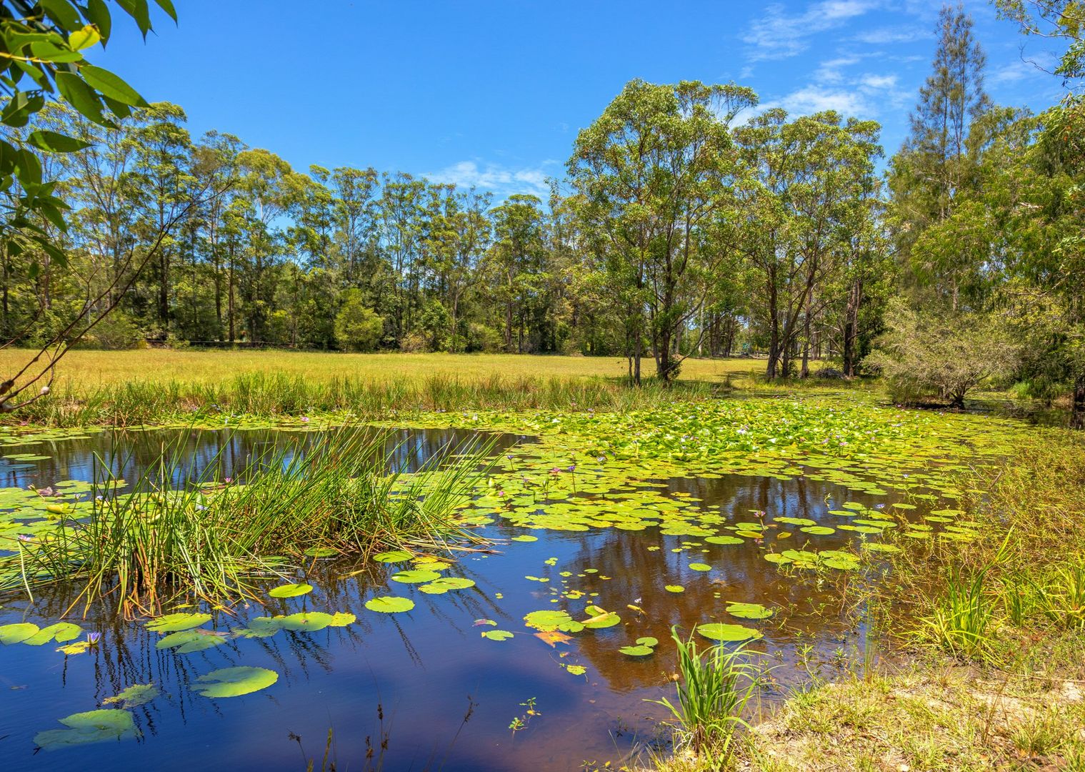 49 Manning Point Road, Old Bar NSW 2430, Image 1