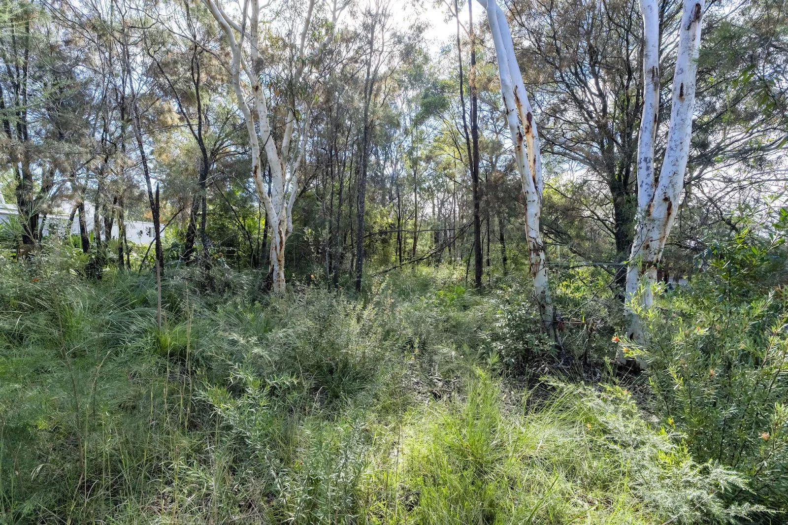 Image 7