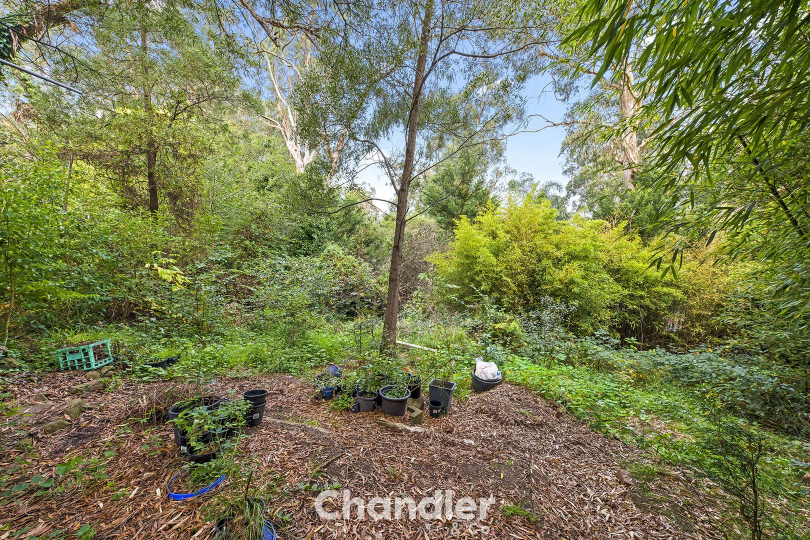 Additional image 17 of 6 Belgrave-Hallam Road, Belgrave VIC 3160