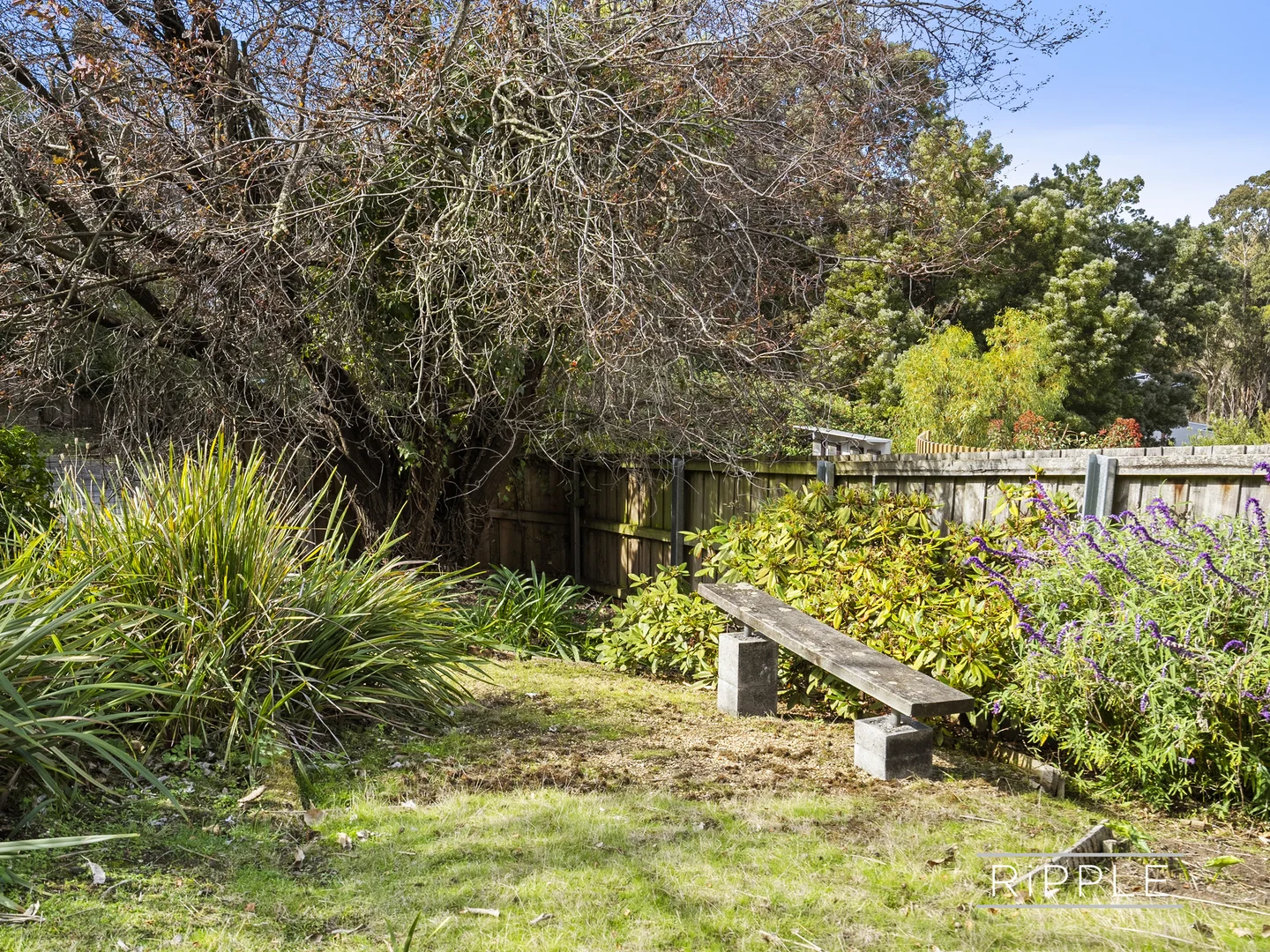 Additional image 34 of 10 Romilly Street, South Hobart TAS 7004