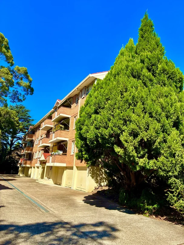 Primary image of UNIT 8/17 Cecil Street, Ashfield NSW 2131