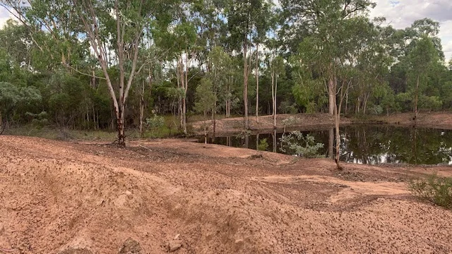 Image 7