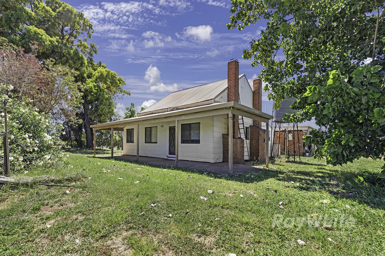 Image 10