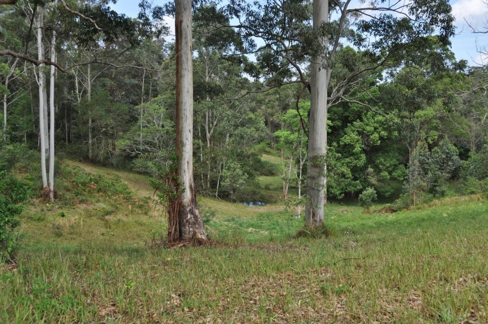 Eungai Creek NSW 2441, Image 2
