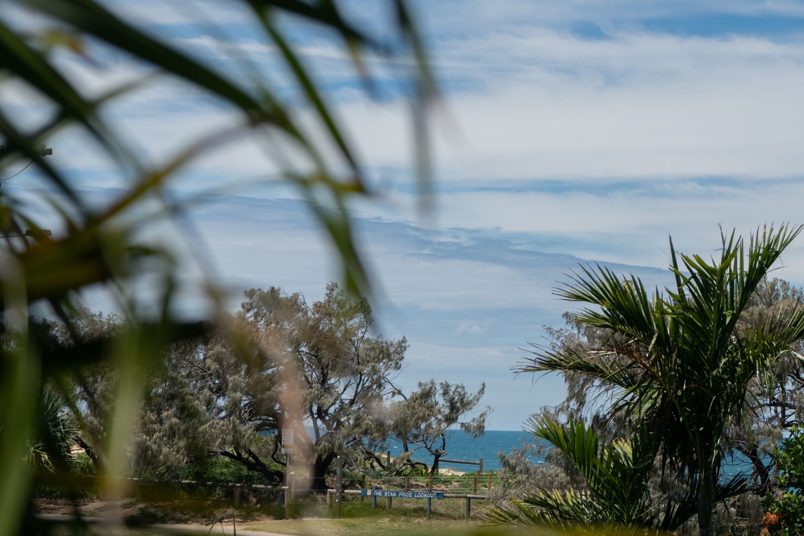 8N/143 Lowanna Drive, Buddina QLD 4575 | Domain