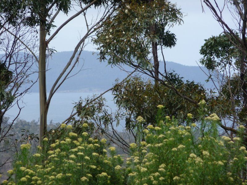 Lot 4 Wielangta Road, Kellevie TAS 7176, Image 1