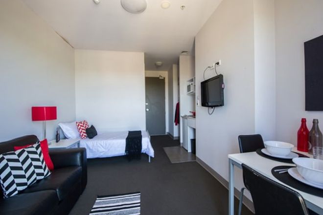 11 Studios For Rent In Adelaide Sa 5000 Domain