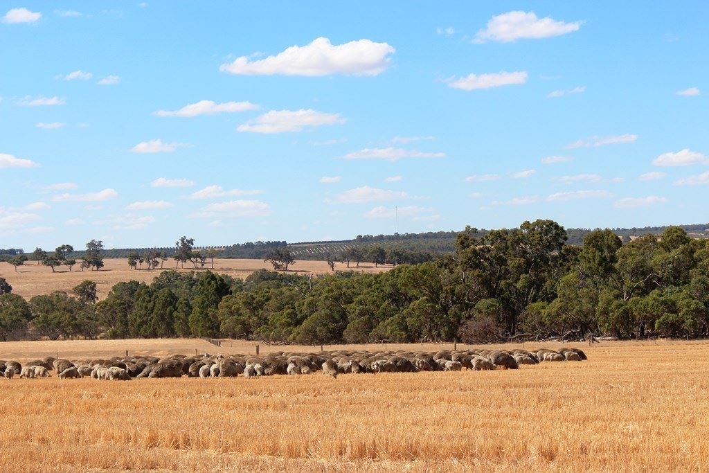 Frankland River WA 6396, Image 1