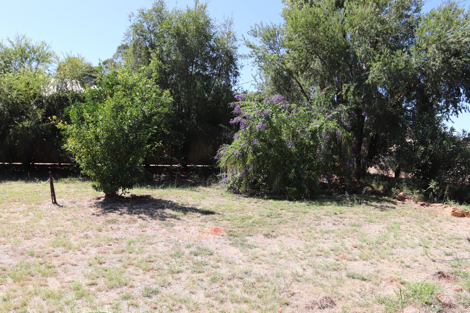 69 Partridge Street, Charleville QLD 4470 House For Rent 250 Domain