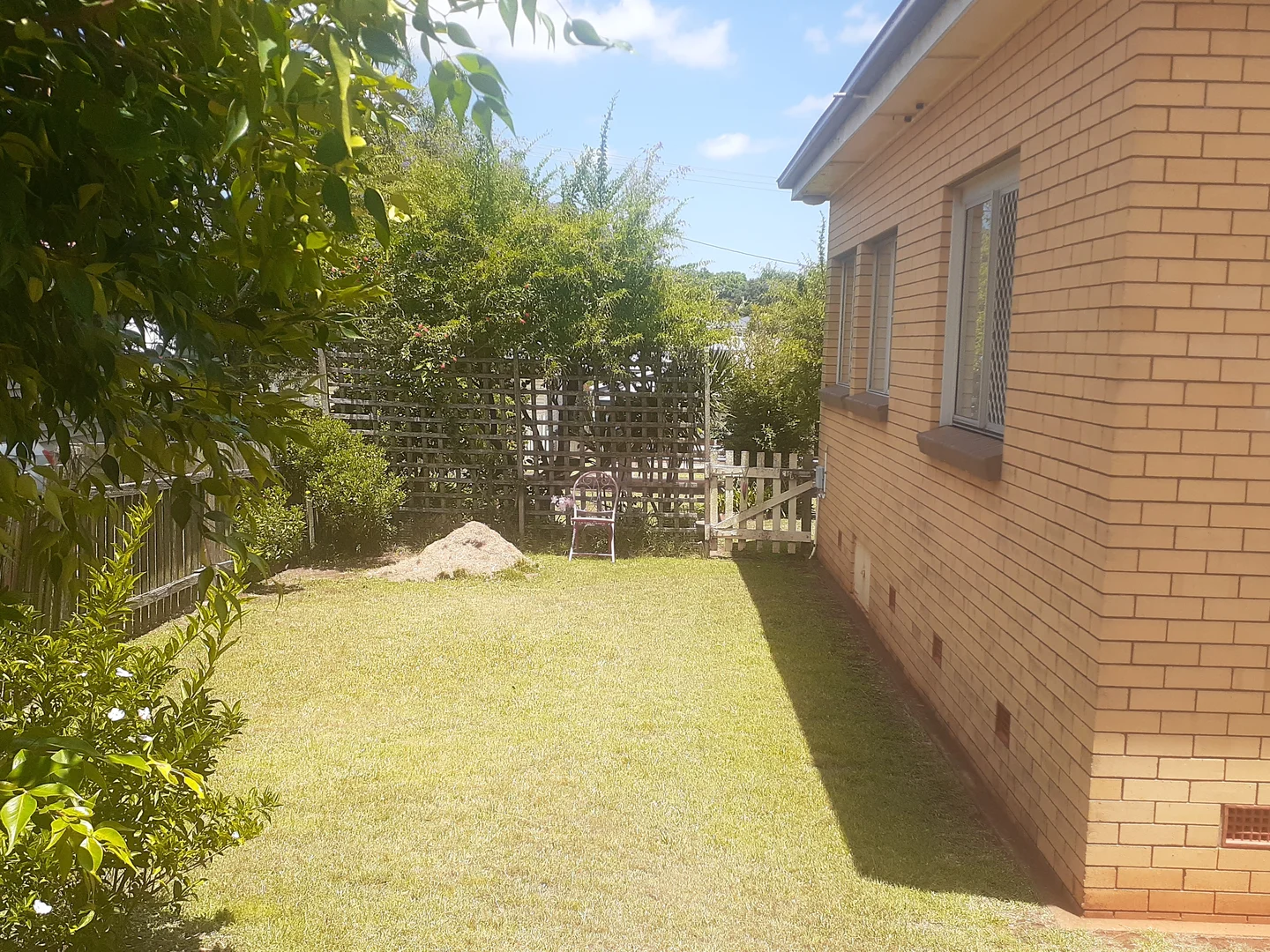 Image 8