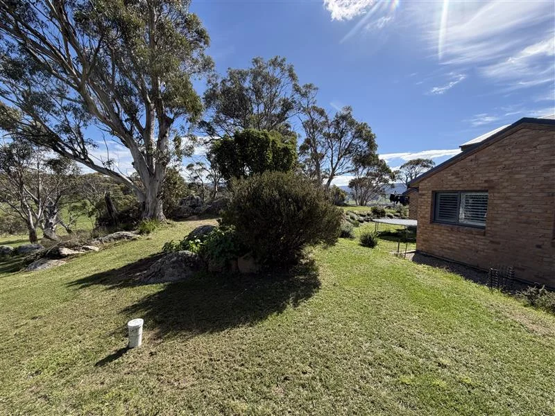 Additional image 20 of 90 Golden Age Road, Grosses Plain NSW 2627