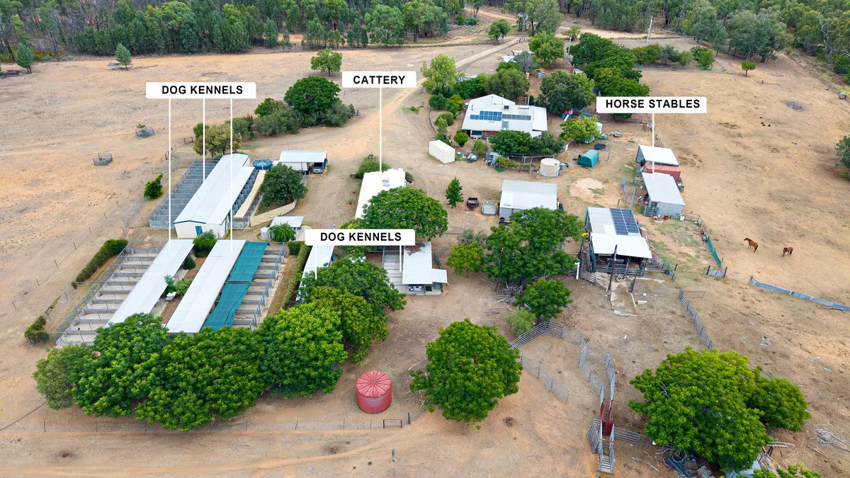 Additional image 2 of 9834 Newell Highway, Narrabri NSW 2390