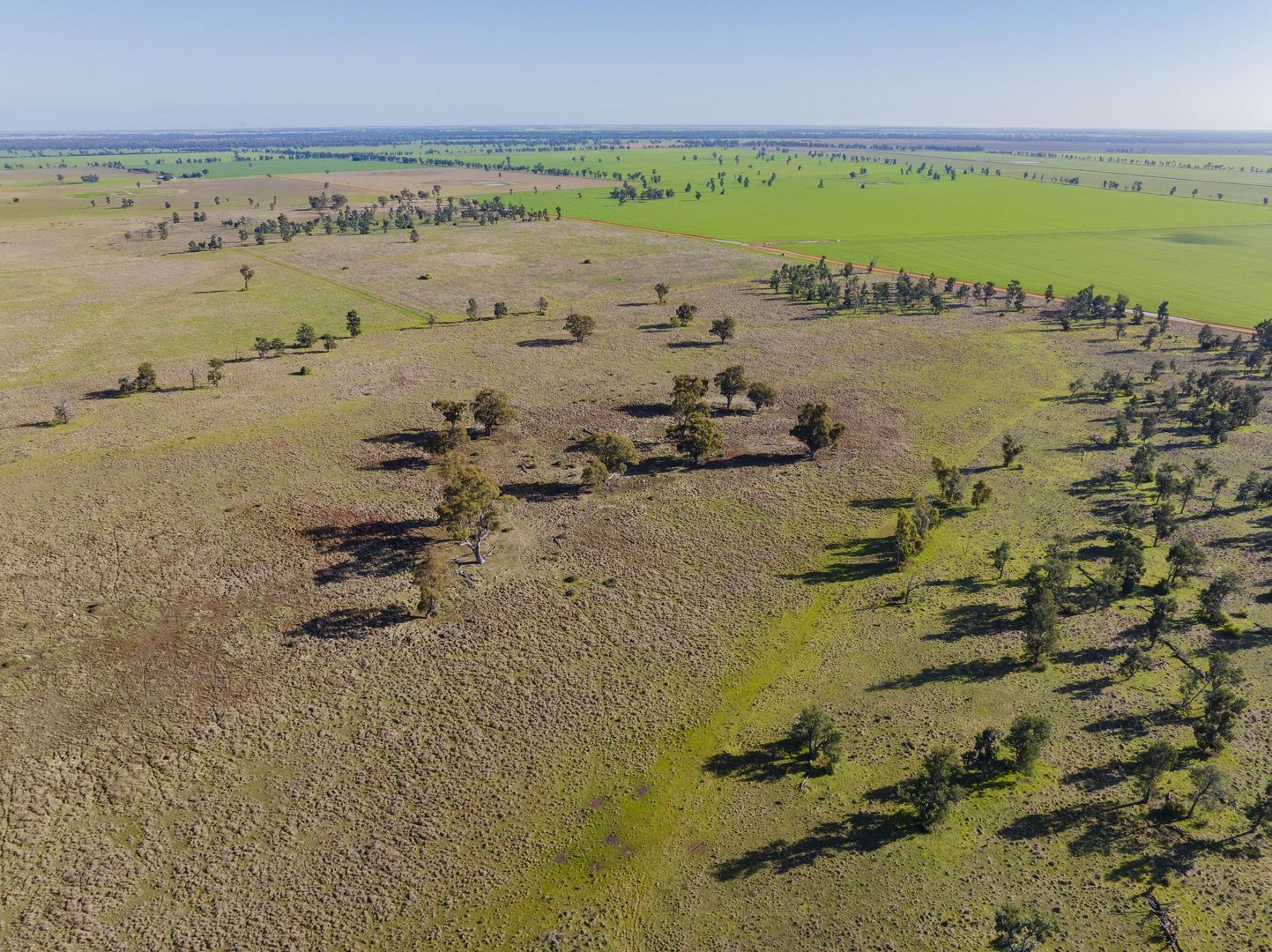 Newell Highway, Narrandera NSW 2700, Image 2