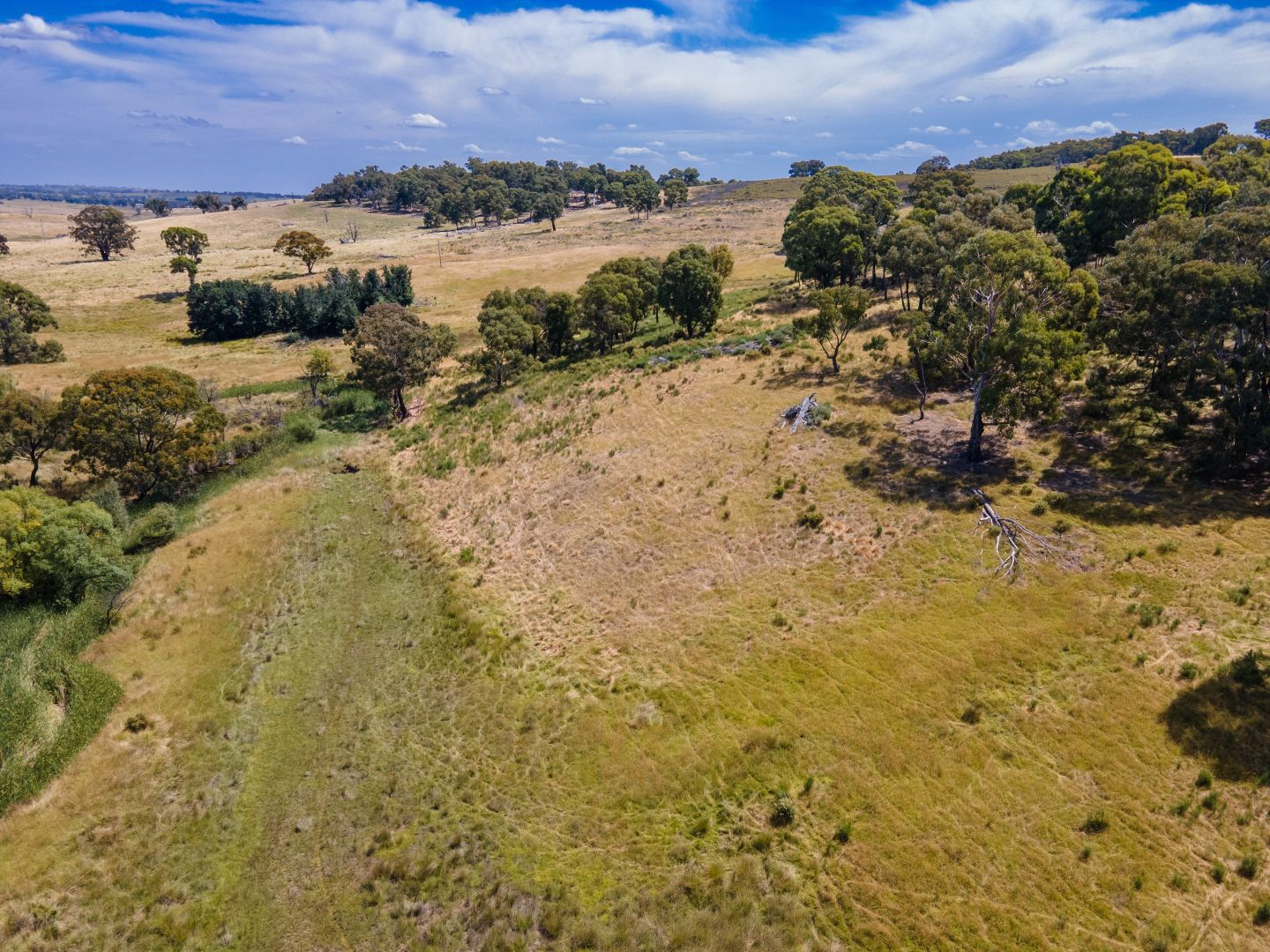 - Kangaloolah Road, Binda NSW 2583, Image 1