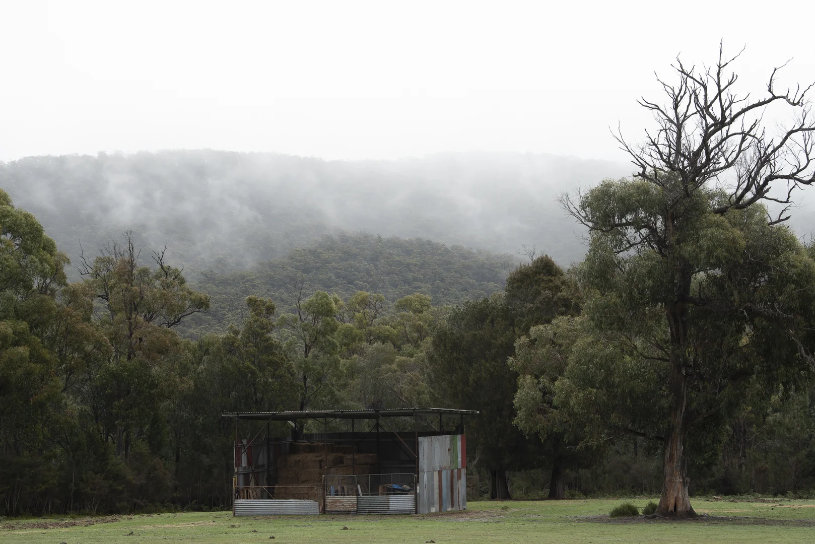 Image 10