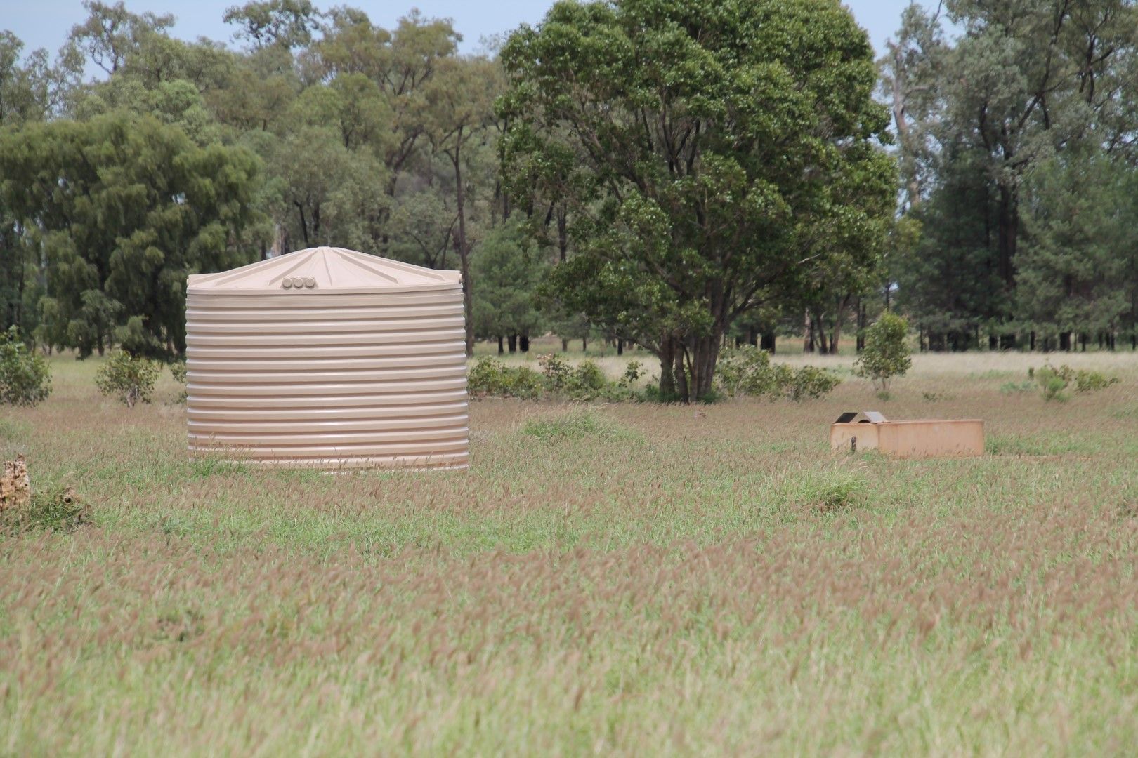 . BALONNE HWY, St George QLD 4487, Image 1