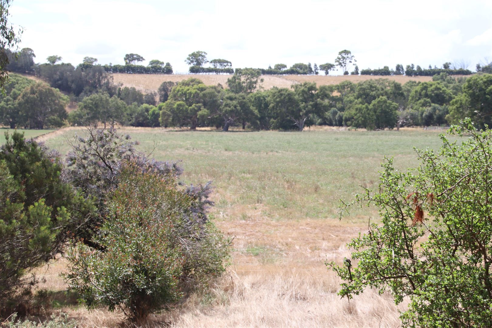 Lot 1 Steiglitz Road, Sutherlands Creek VIC 3331, Image 2