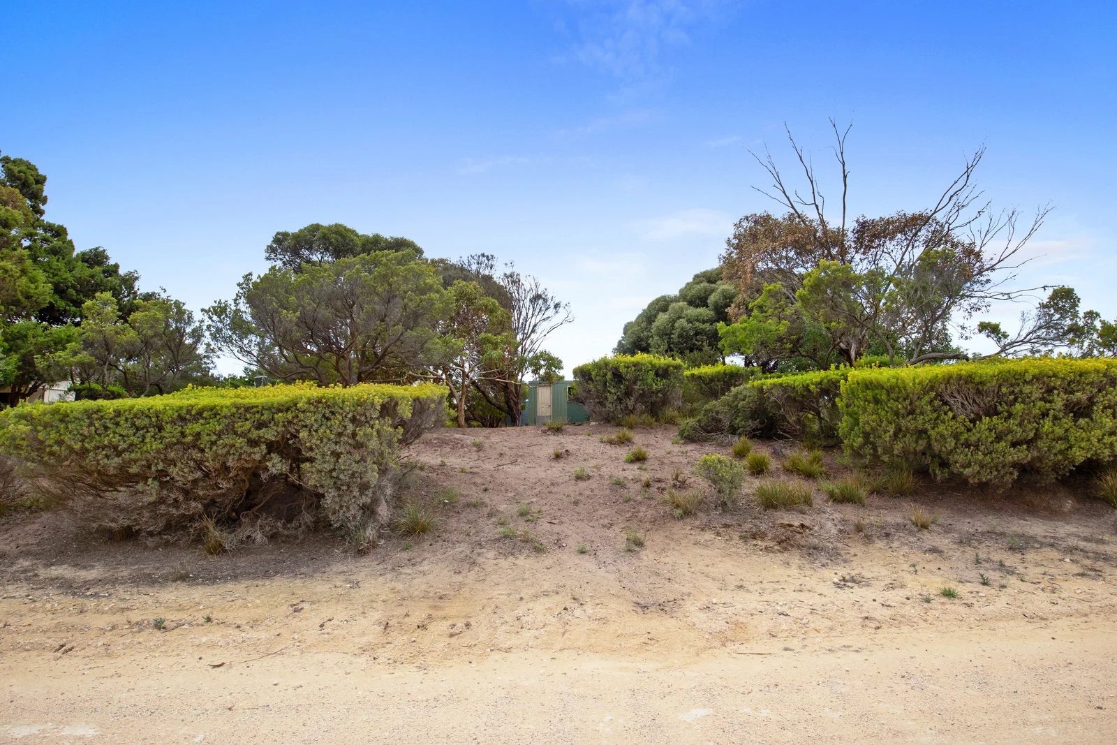 Image 17