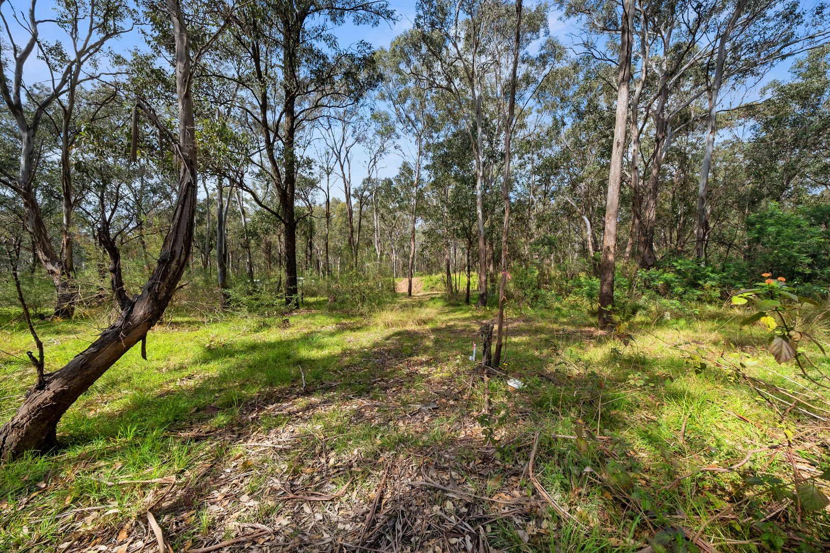 Lot 31 Loftus Street, Grantham Farm NSW 2765 Domain