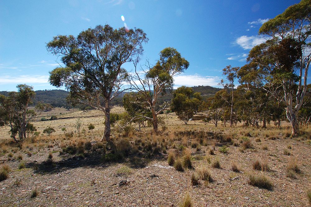 469 Neils Creek ROad, Bungendore NSW 2621, Image 1