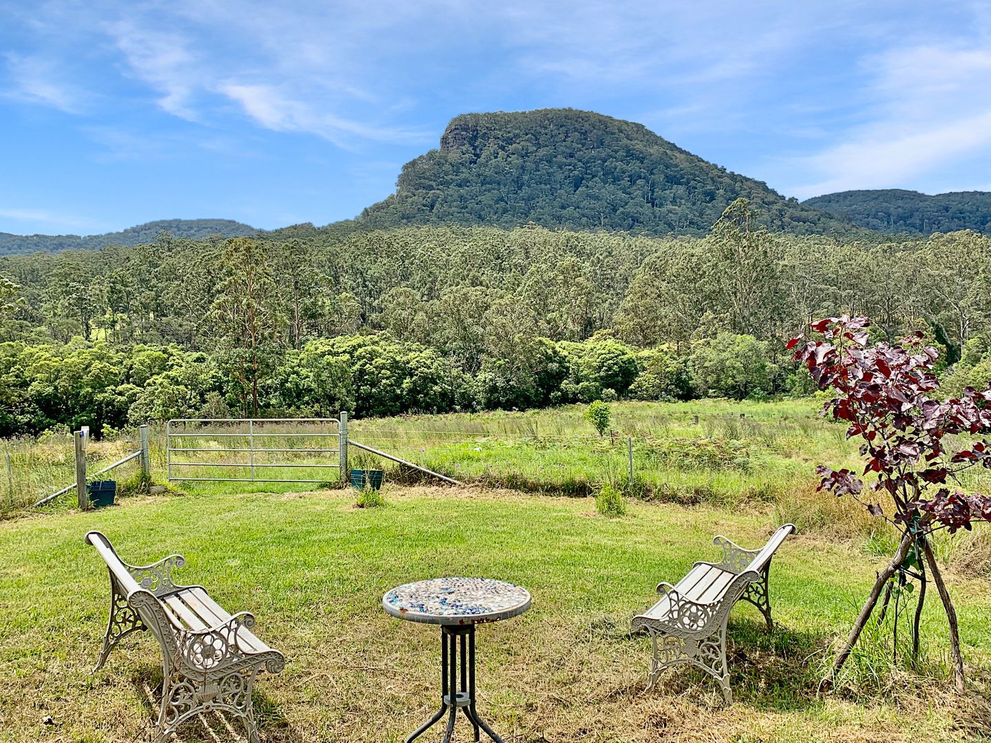 1646 Congewai Rd, Congewai NSW 2325, Image 1