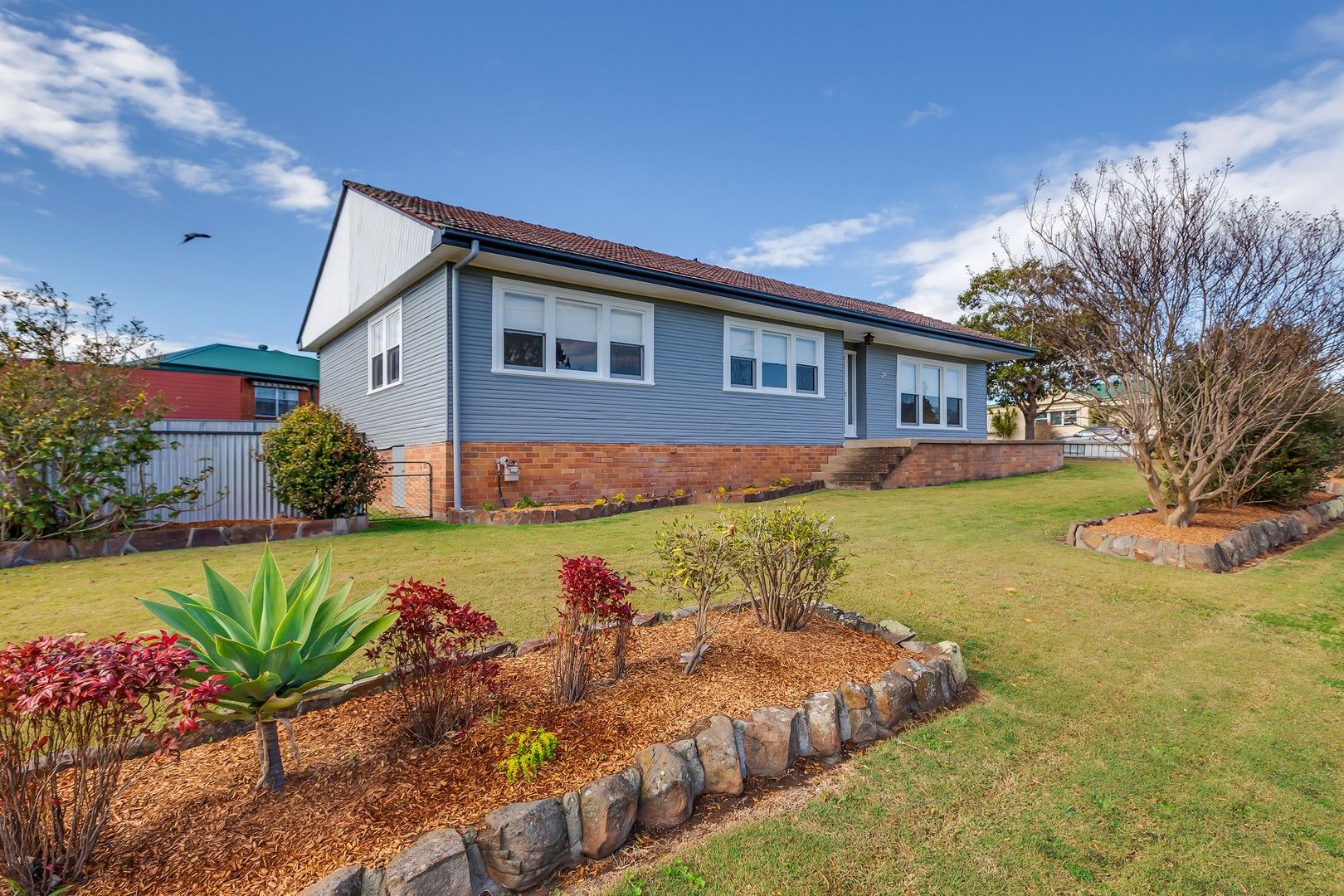 3 bedrooms House in 29 Allendale Street BERESFIELD NSW, 2322