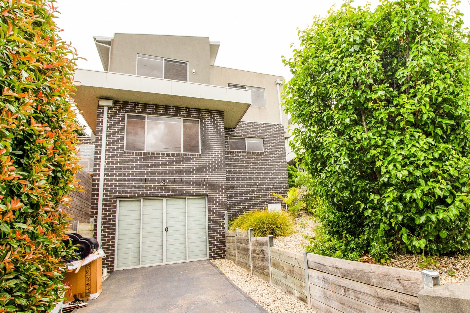 1/9 Austin Crescent, Pascoe Vale VIC 3044 Townhouse For Rent Domain