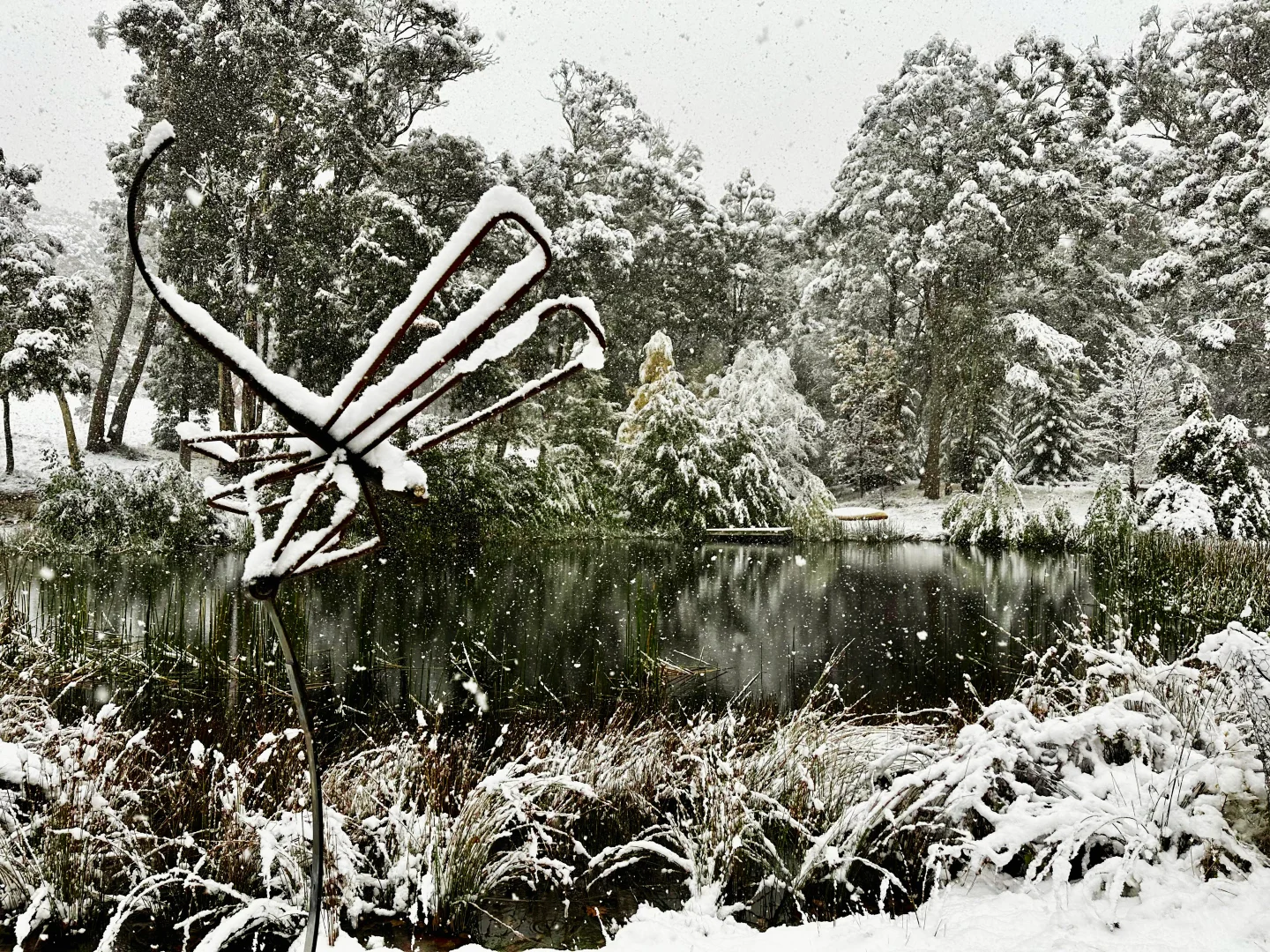 Additional image 42 of 791 Kennedys Road, Yaouk NSW 2629