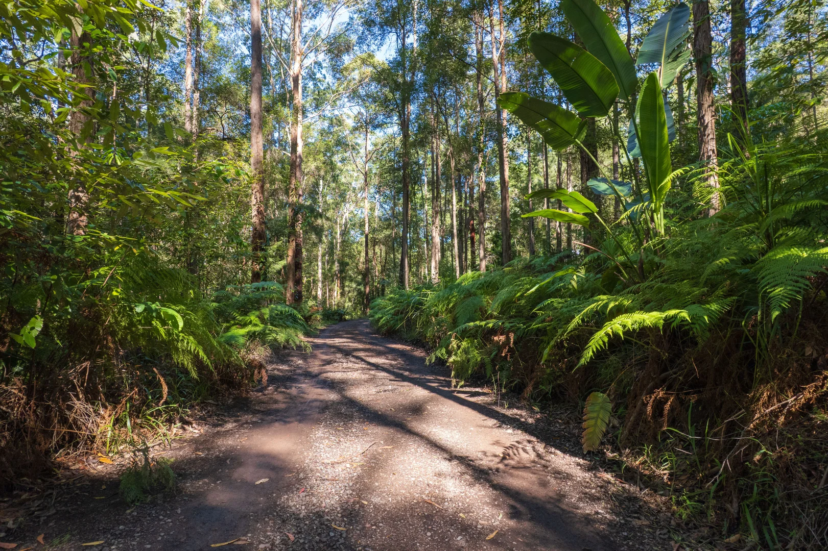 Image 18