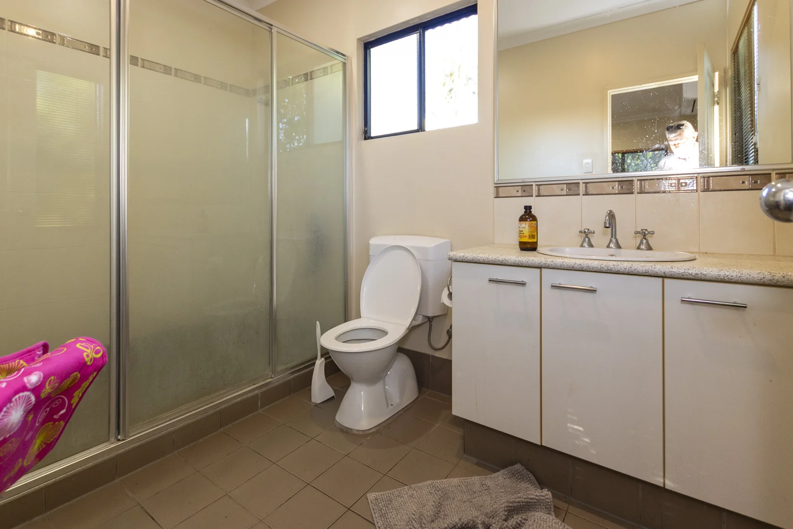 Image 21
