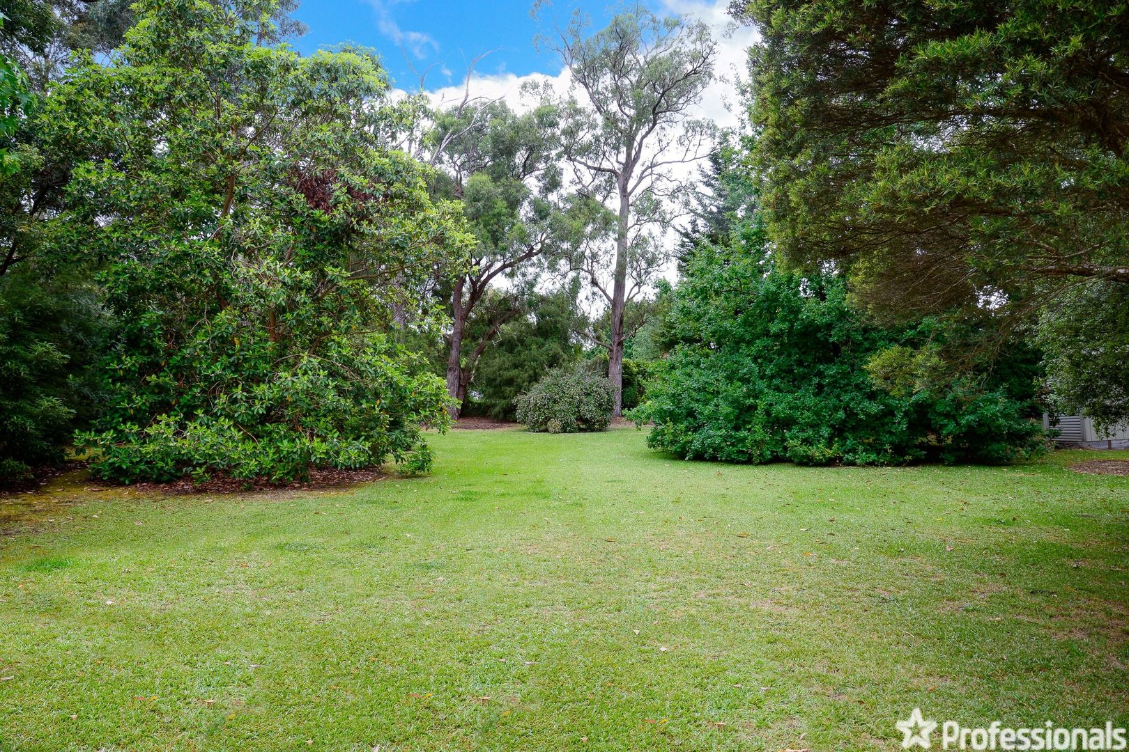 20 Williams Road, Don Valley VIC 3139, Image 2