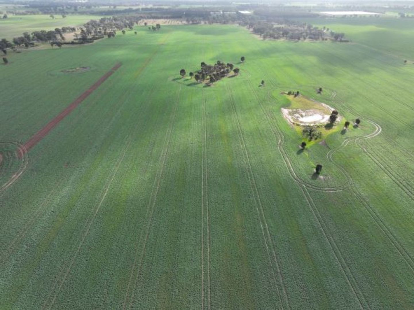 482 Swamp Road, Numurkah VIC 3636 House for Sale 1,550,000