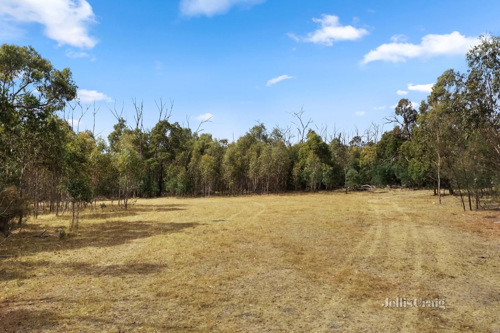 Lot 2 Fishers Road, Scotsburn VIC 3352, Image 2