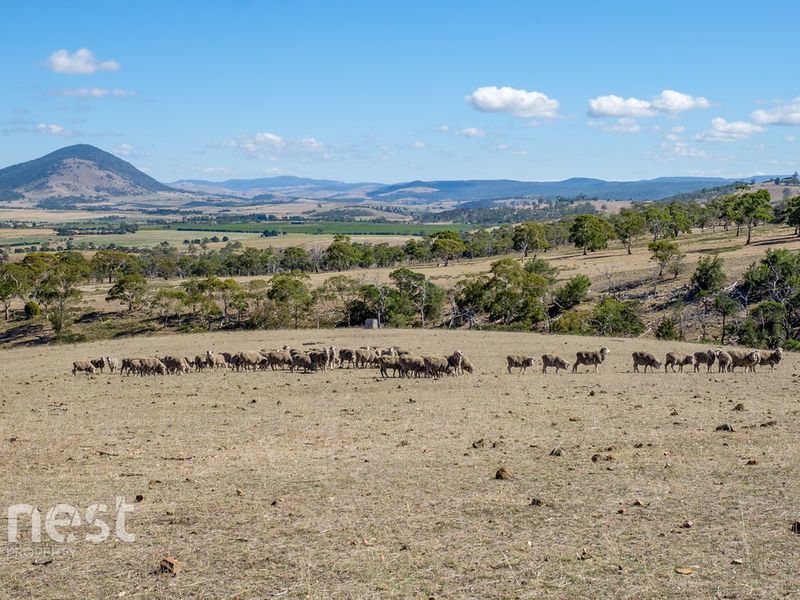 2 Prossers Road, Richmond TAS 7025, Image 2