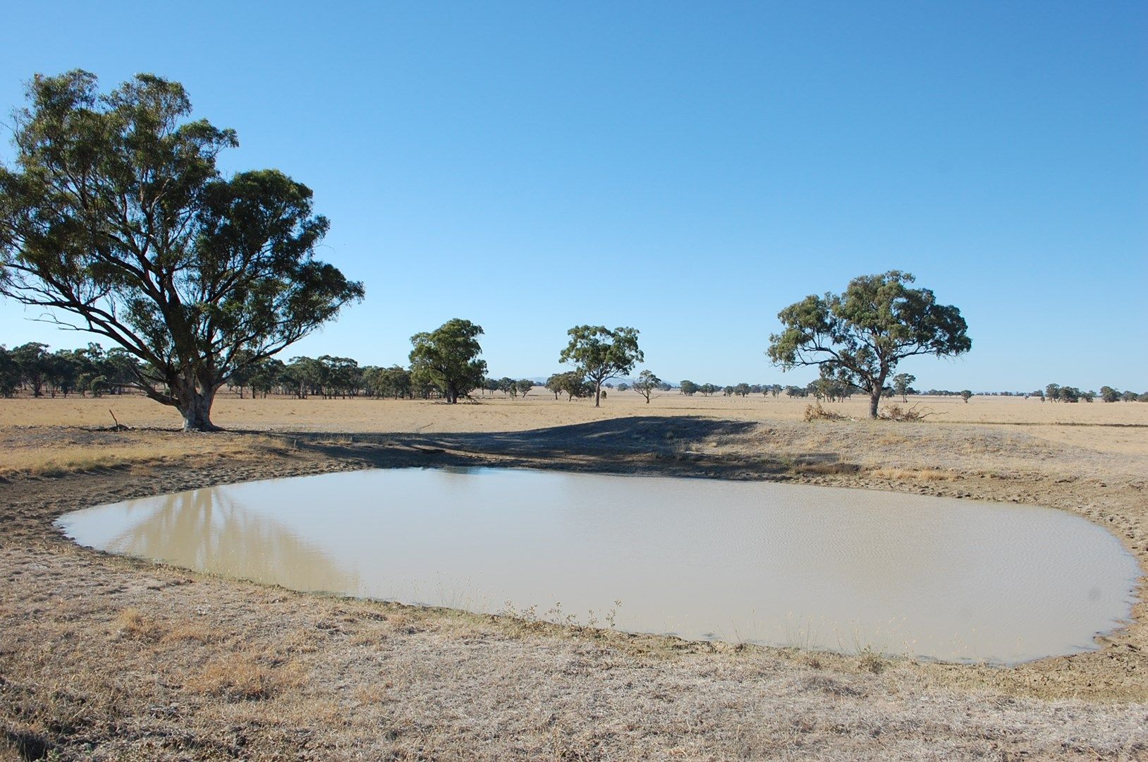 - Arcadia Tamleugh Road, Miepoll VIC 3666, Image 0