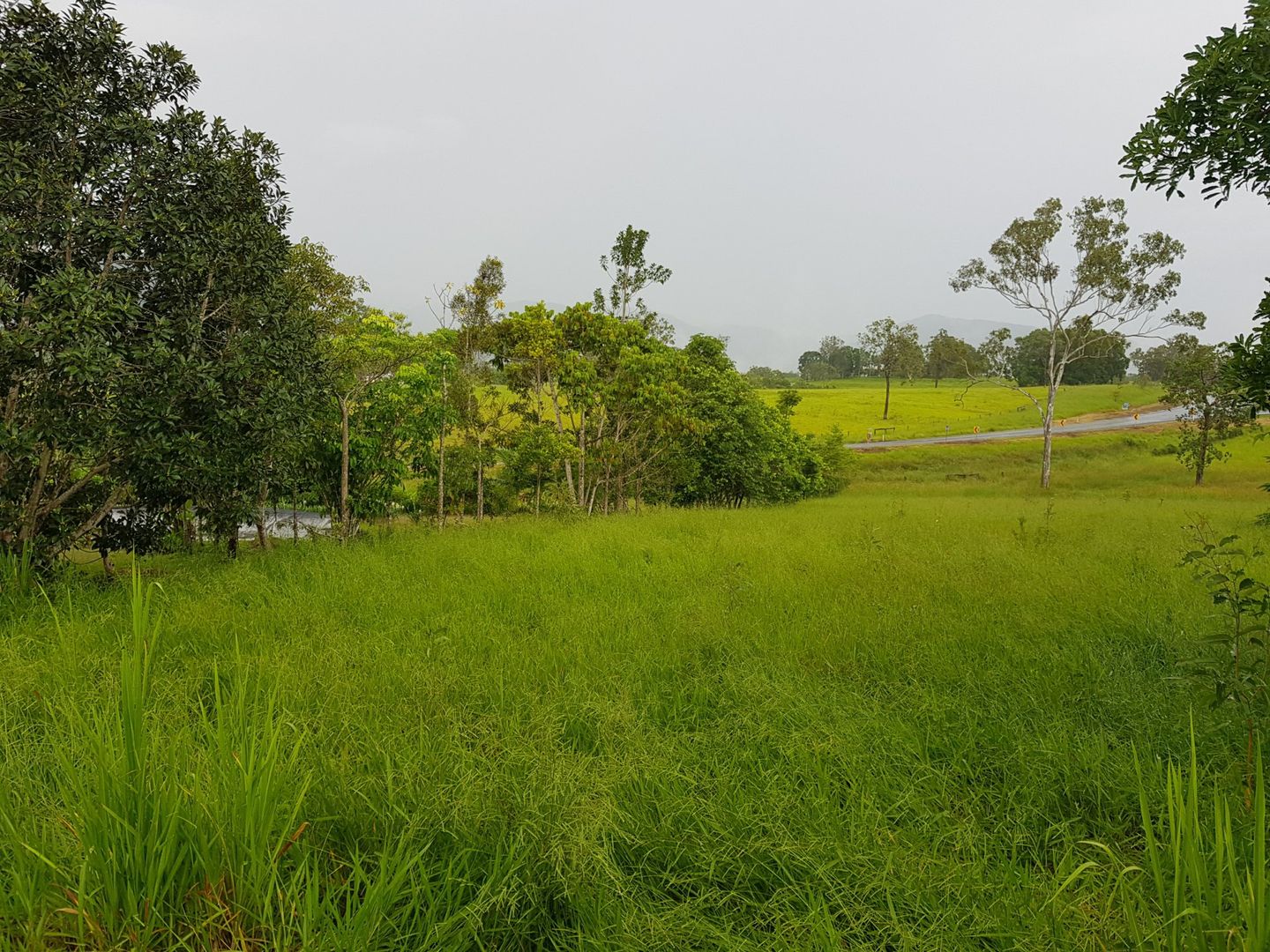 Lot 2 Button Close, Julatten QLD 4871, Image 2