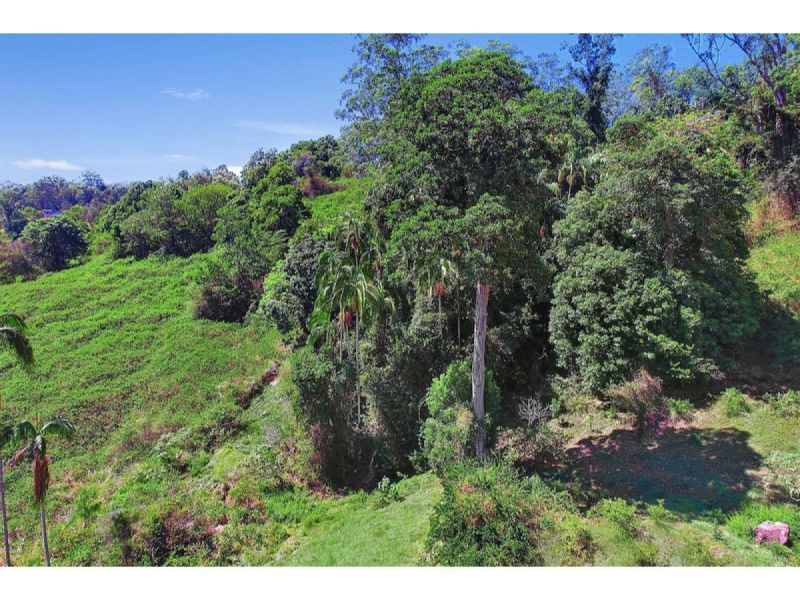 353 Western Avenue, Montville QLD 4560, Image 2