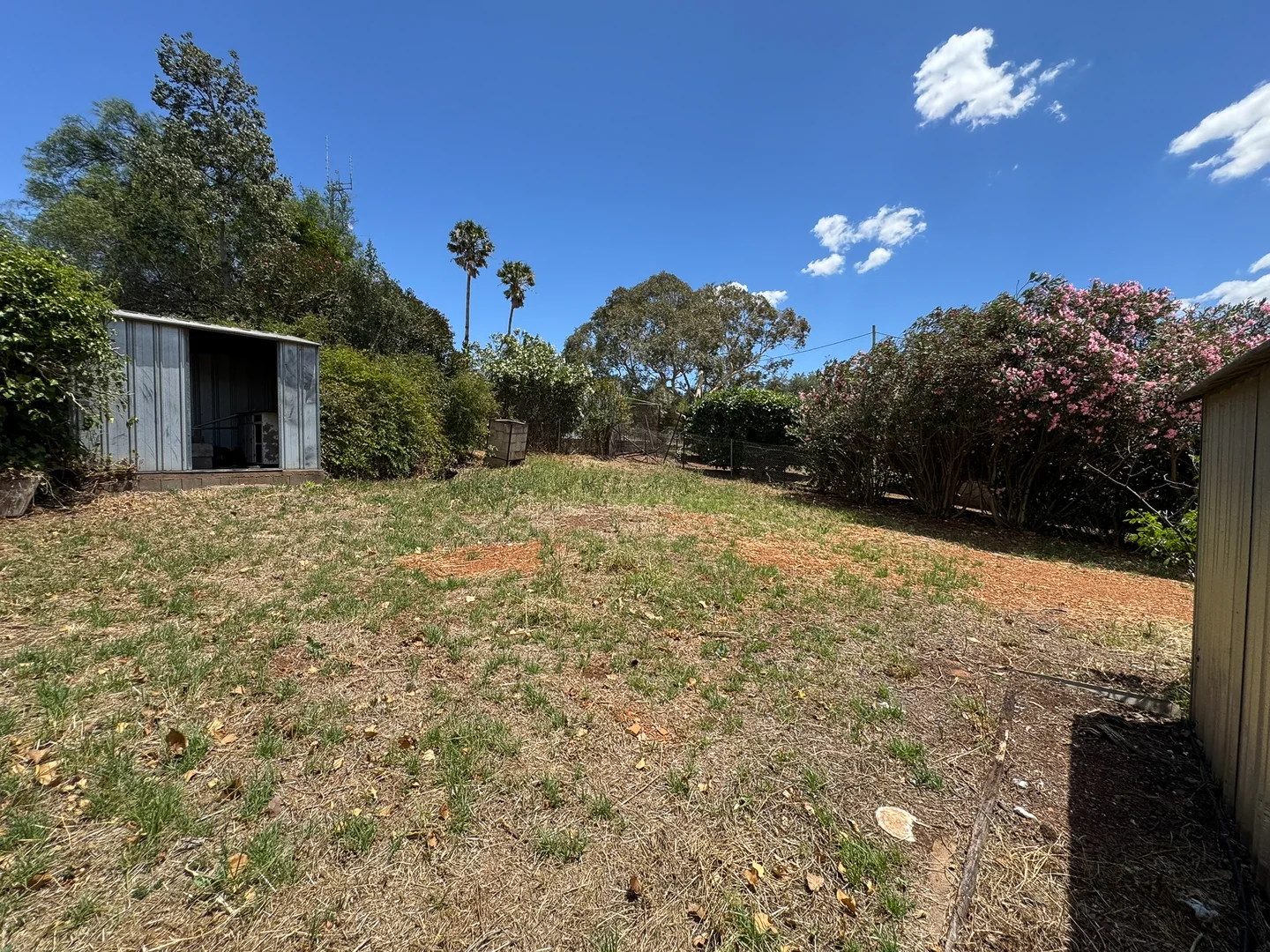 Additional image 12 of 41 Tallawang Street, Dunedoo NSW 2844