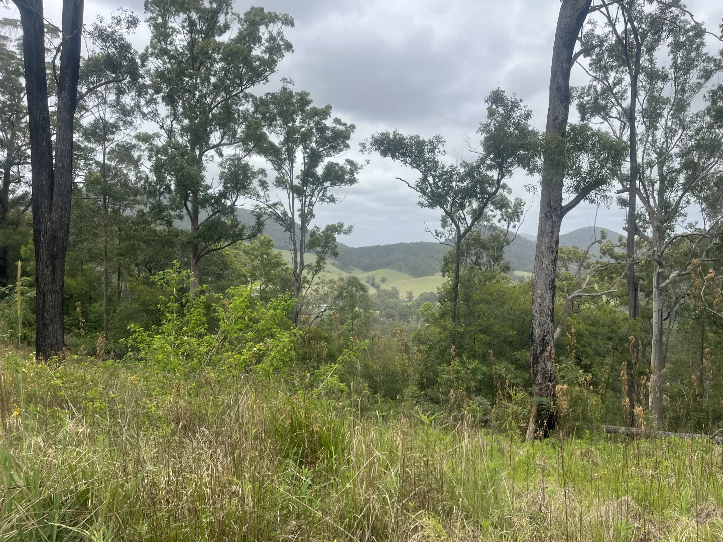 Image 12