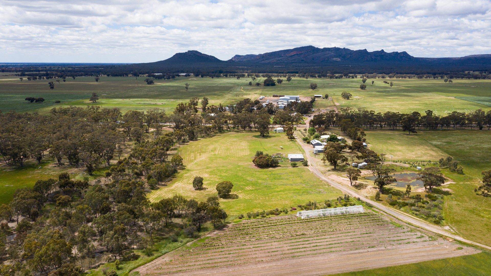 1004 NORTHERN GRAMPIANS ROAD, Laharum VIC 3401, Image 1