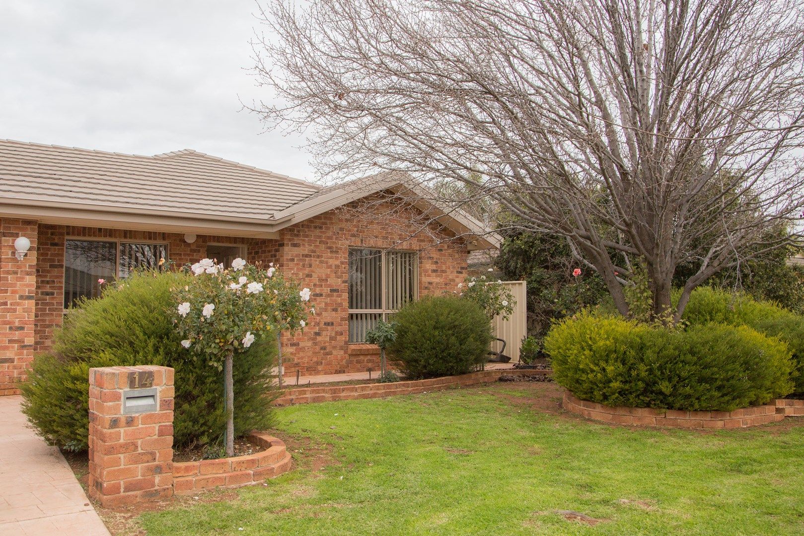 14 Little Road, Griffith NSW 2680, Image 0