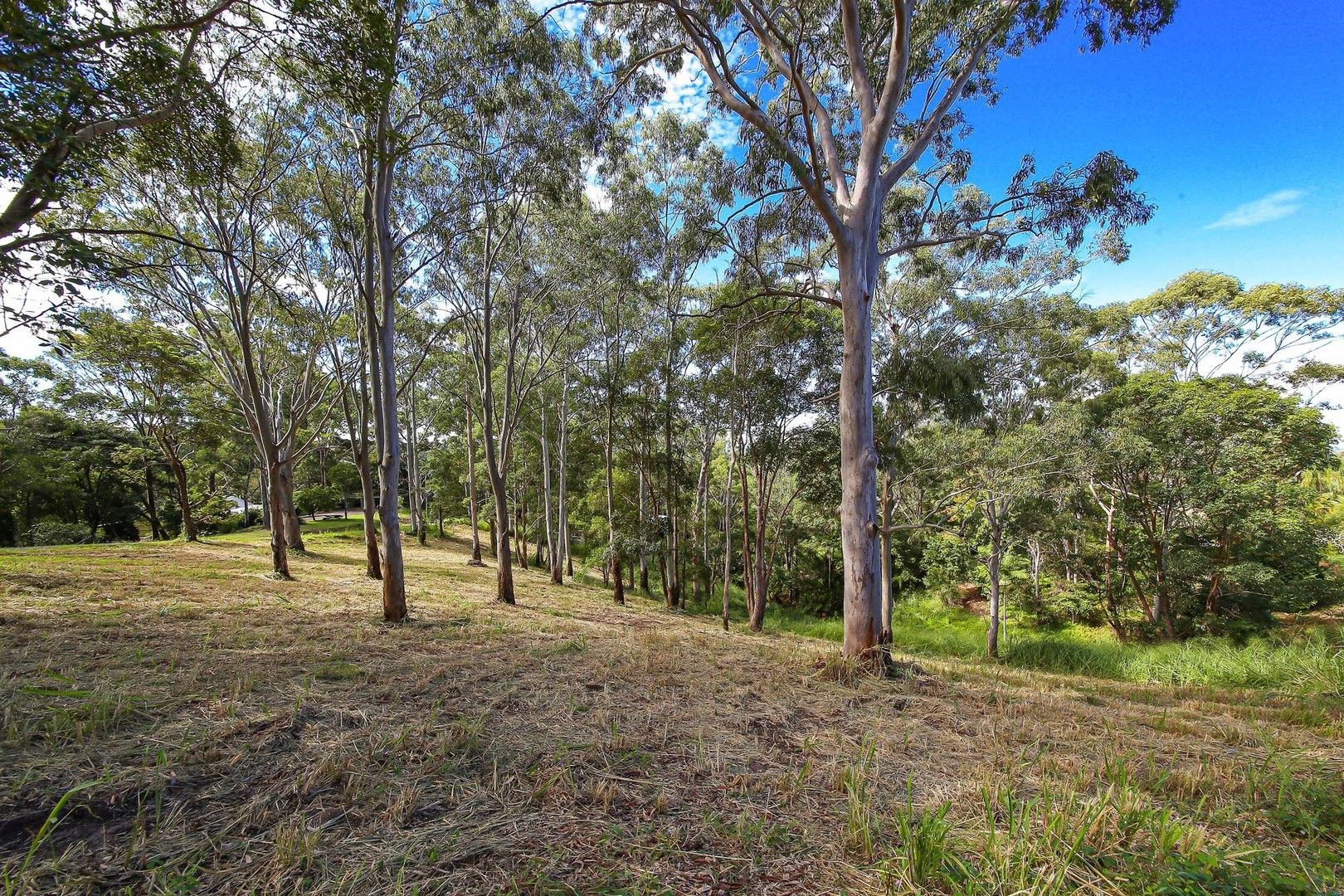 8 Hinterland Cl, Tinbeerwah QLD 4563, Image 0