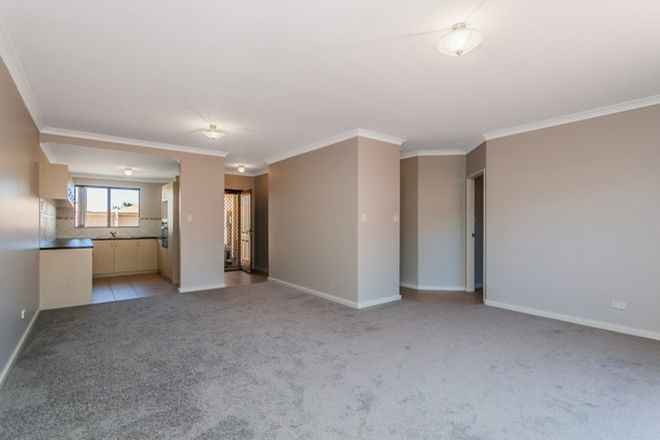 Picture of 20/485 Rockingham Road, SPEARWOOD WA 6163