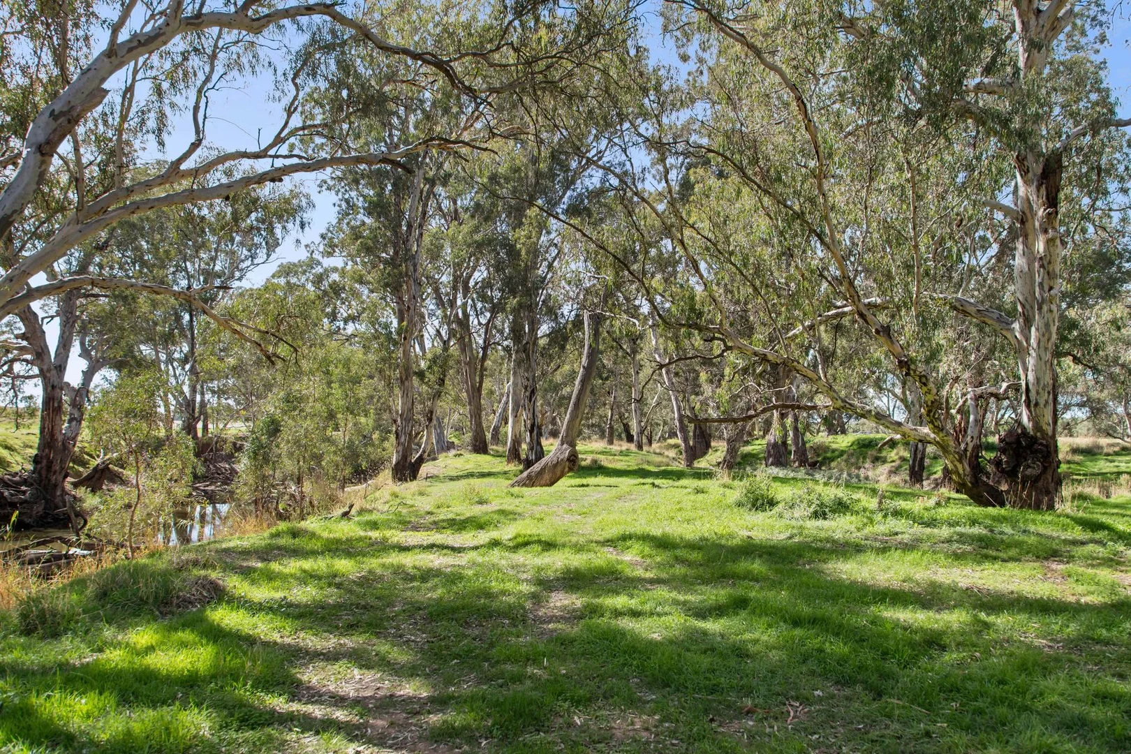 Additional image 12 of Lot 2 Barnadown-Knowsley Road, Muskerry VIC 3557