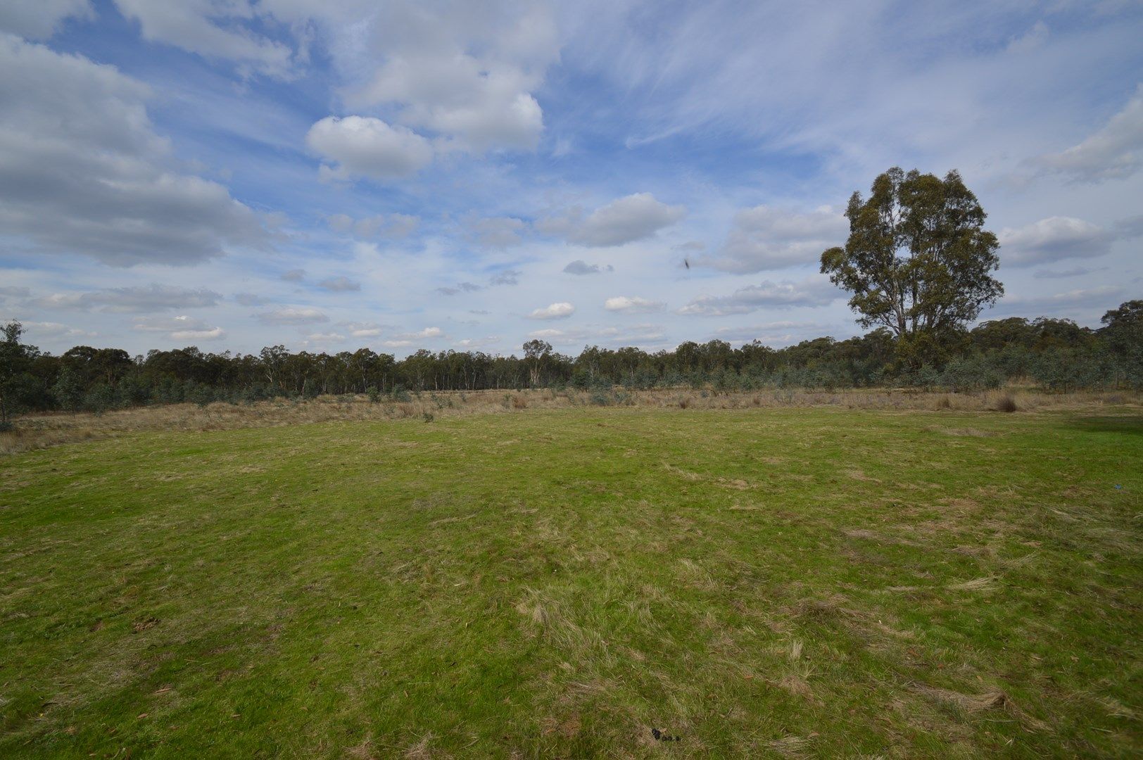 Avoca - Talbot Road, Amherst VIC 3371, Image 0